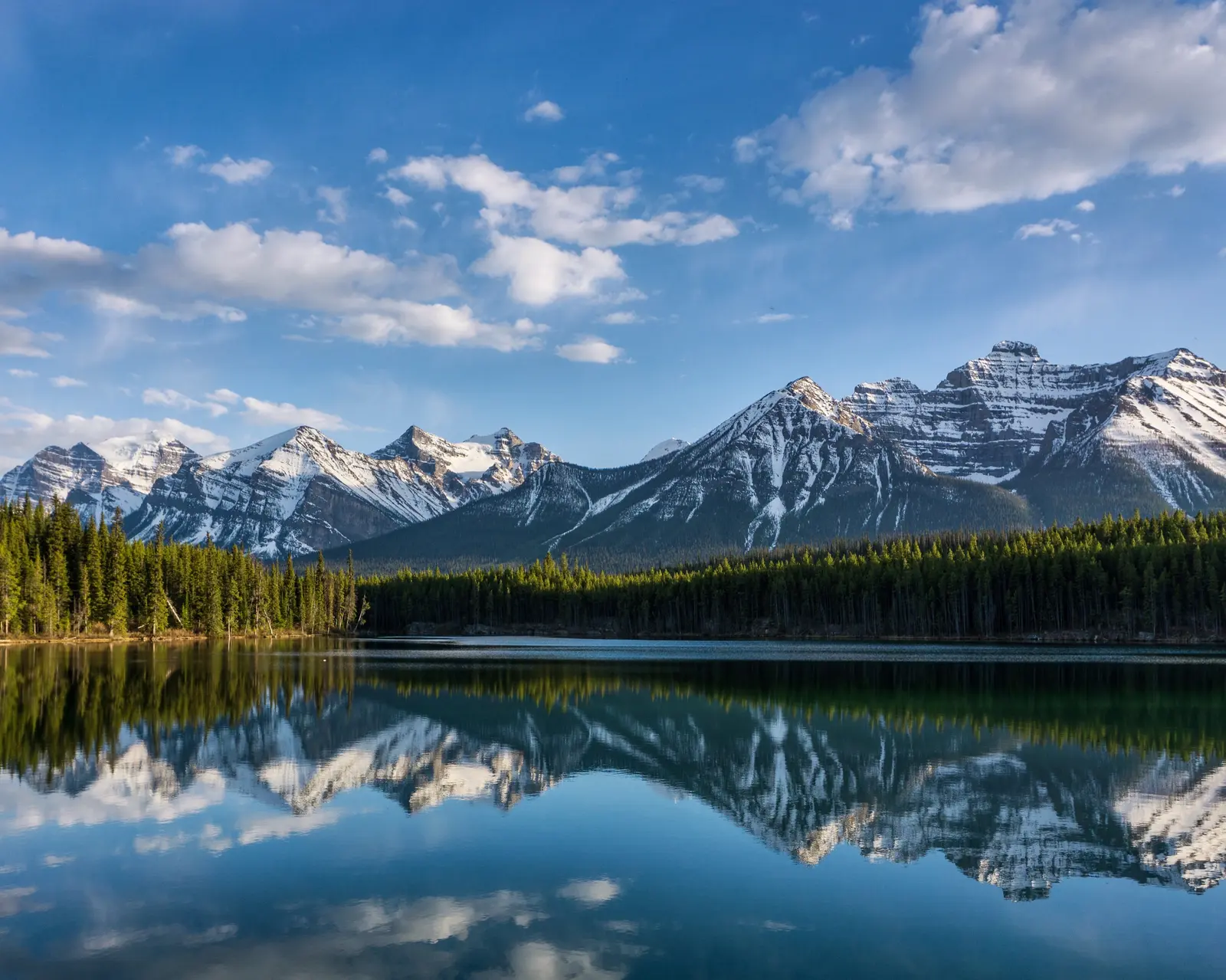 Herbert Lake reflecting forest and mountain peaks beside the Icefields Parkway in spring.