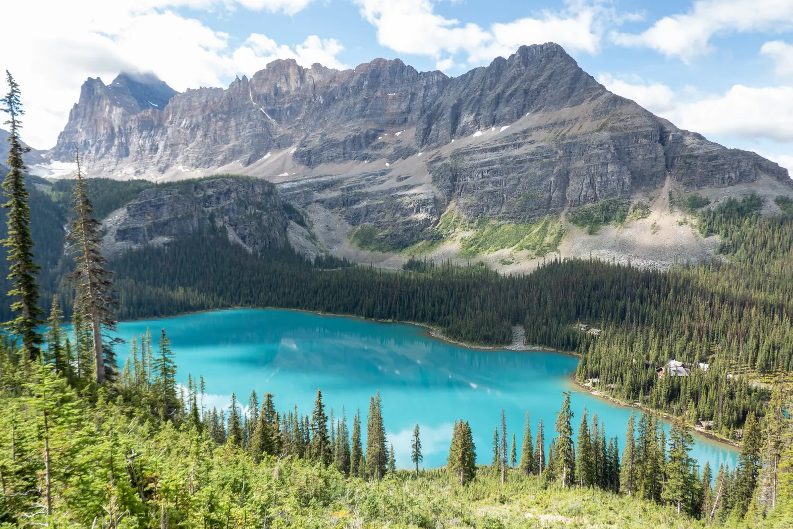 Lake O'Hara from an alpine trail with turquoise water below cliffs and forest.