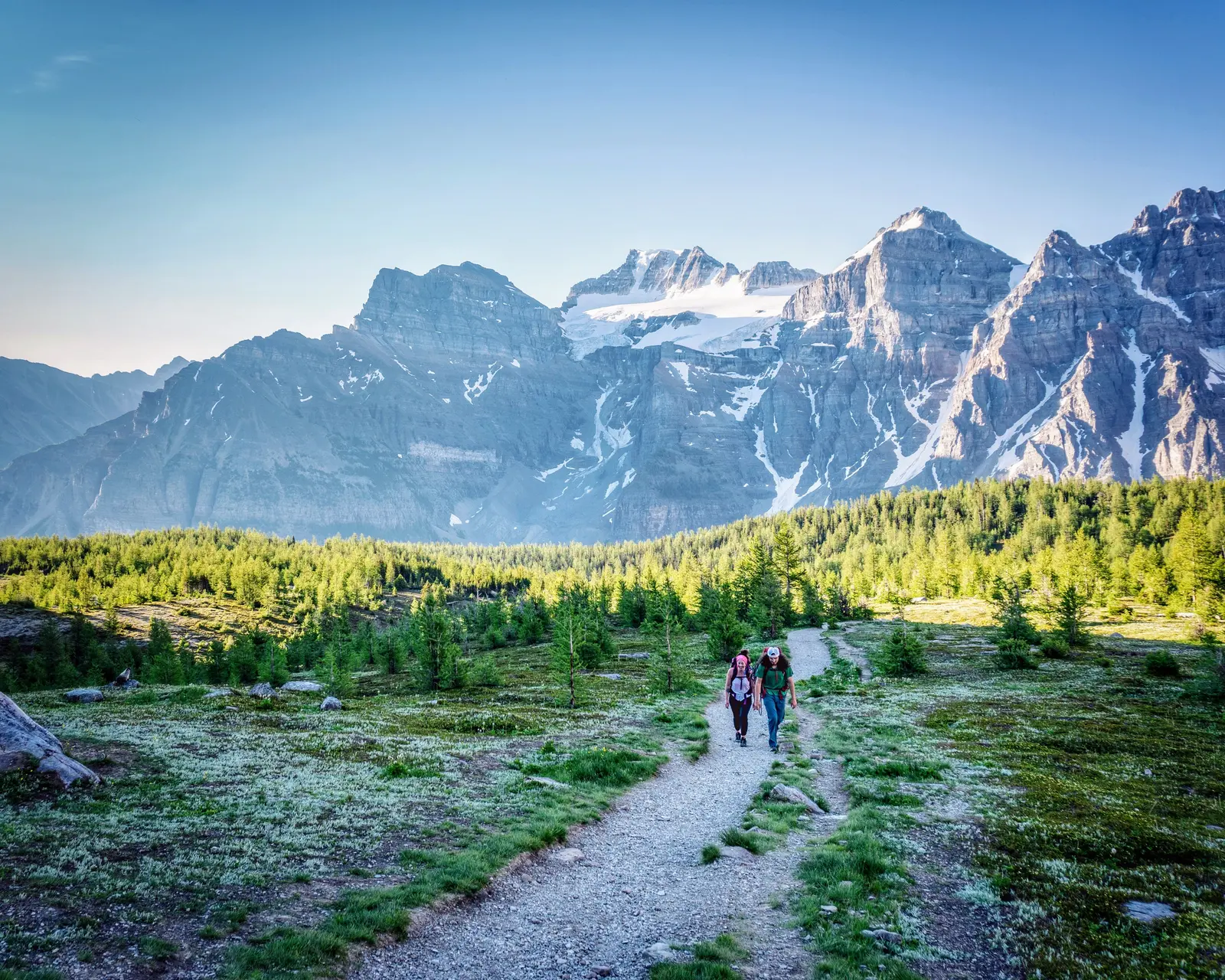 Two hikers with large packs walking through golden larches in Larch Valley.