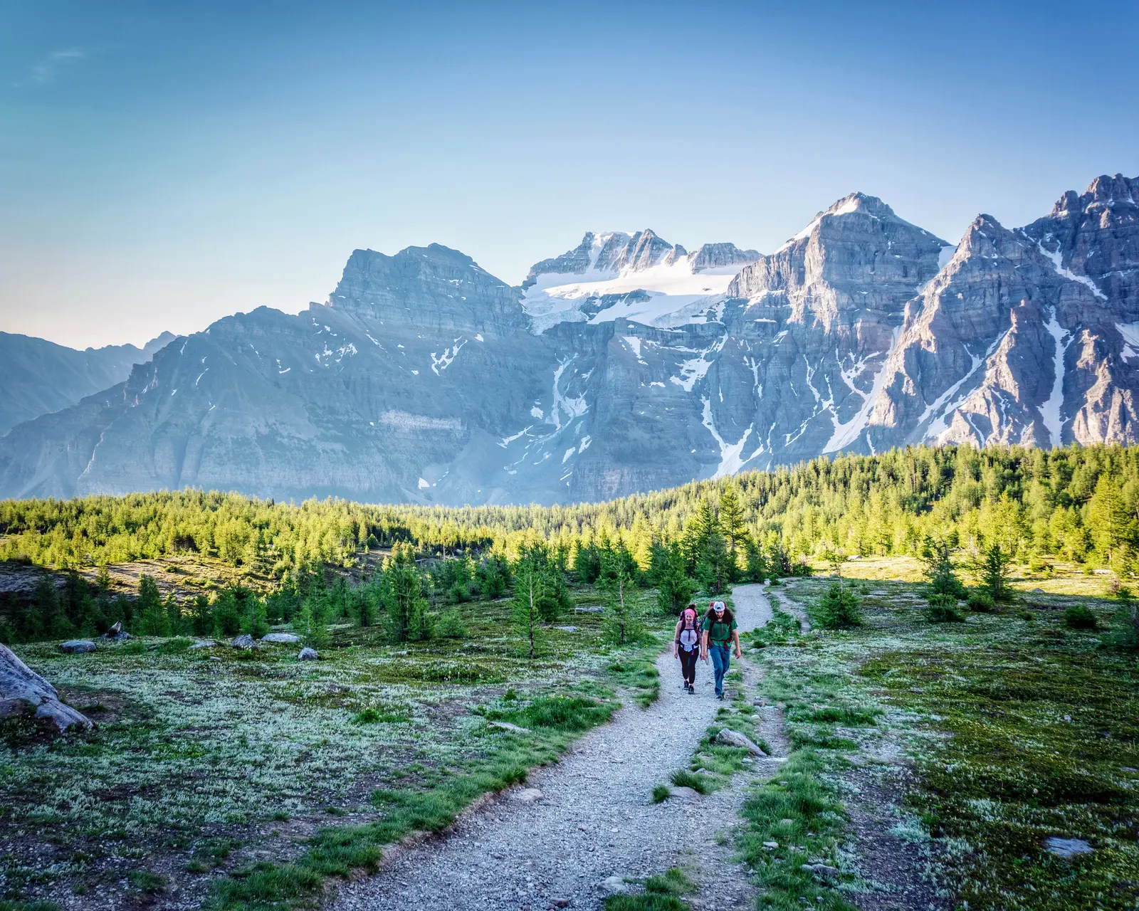 Two hikers with large packs walking through golden larches in Larch Valley.