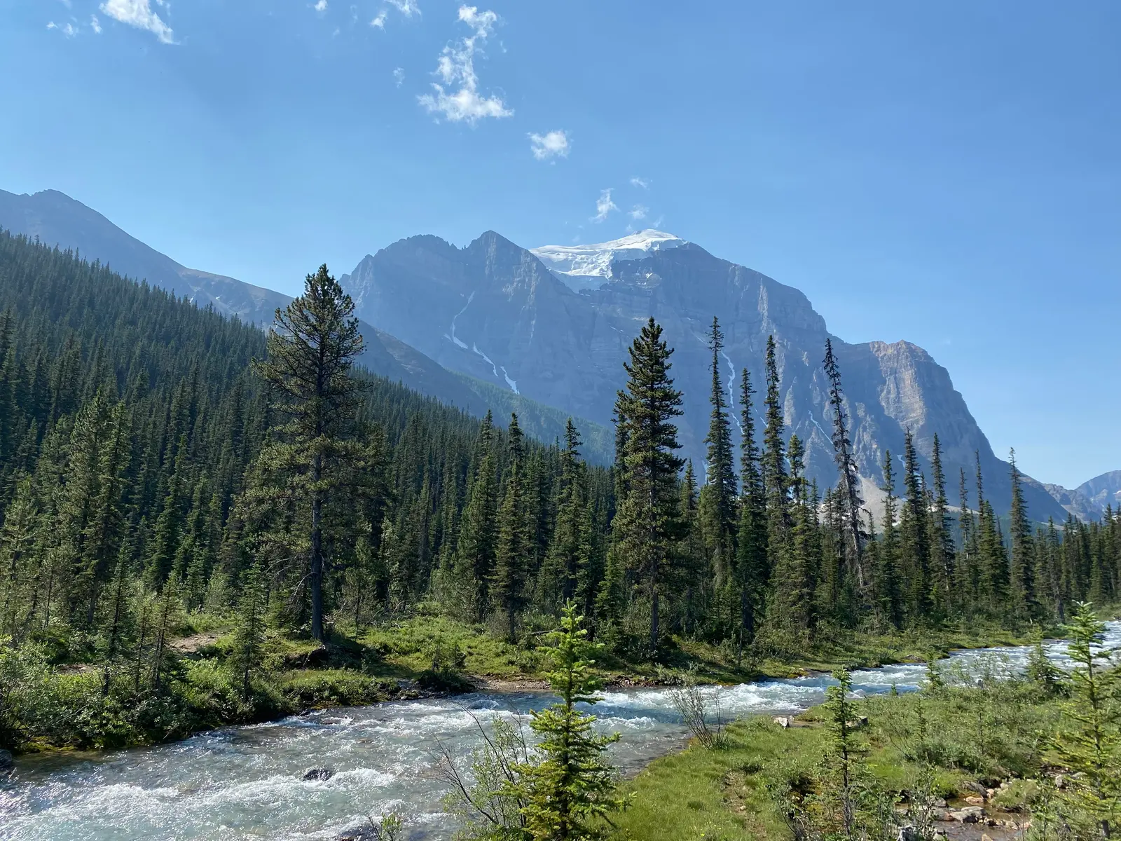 Paradise Valley trail beside a braided stream with forest and mountain walls.