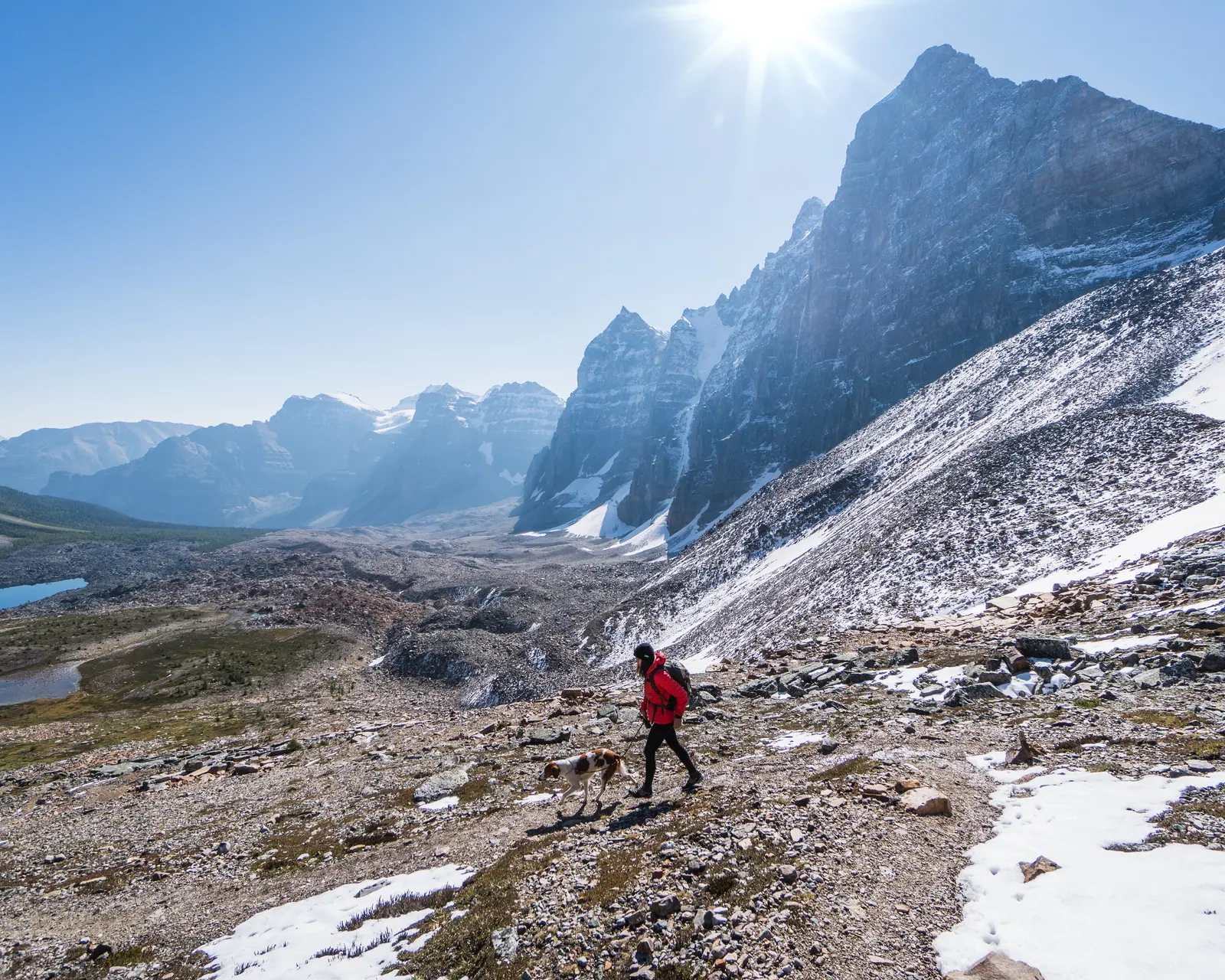 A hiker descending rocky terrain below Wenkchemna Pass with a dog nearby.