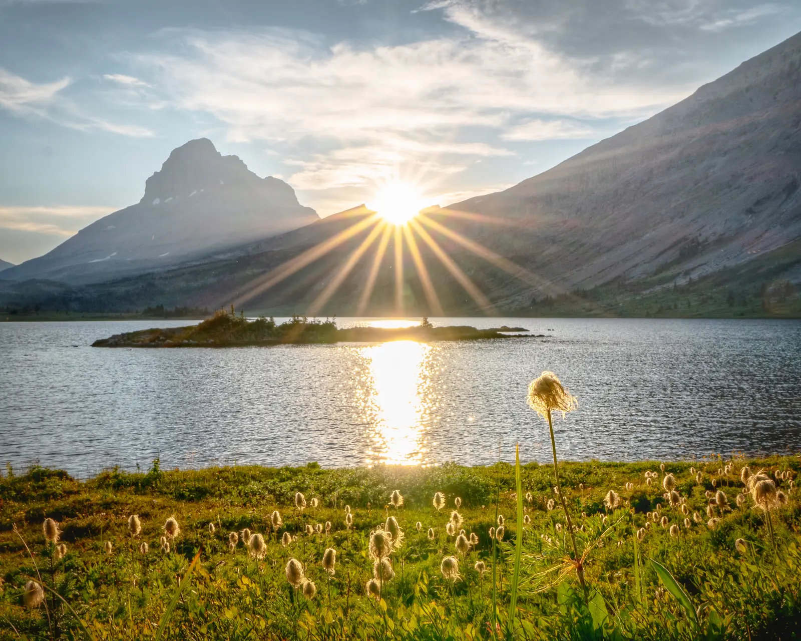 Western anemone seed heads in a backcountry meadow beside a mountain lake.