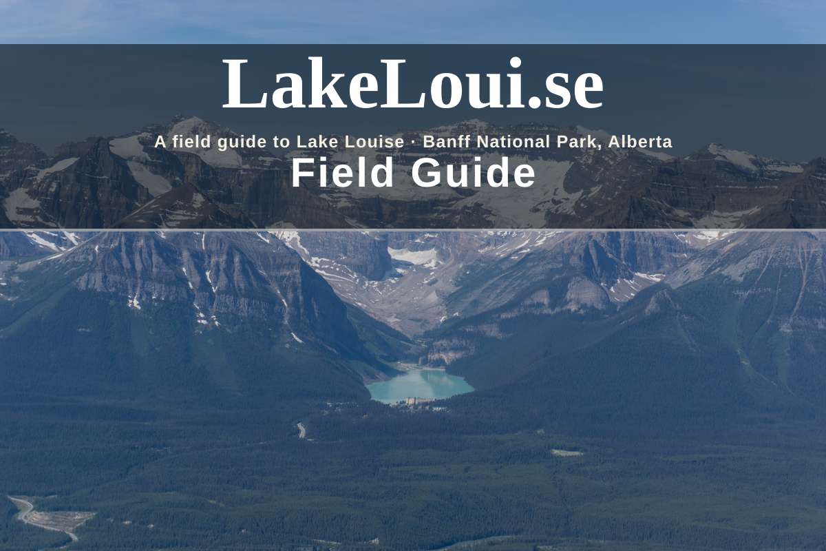 Field Guide cover