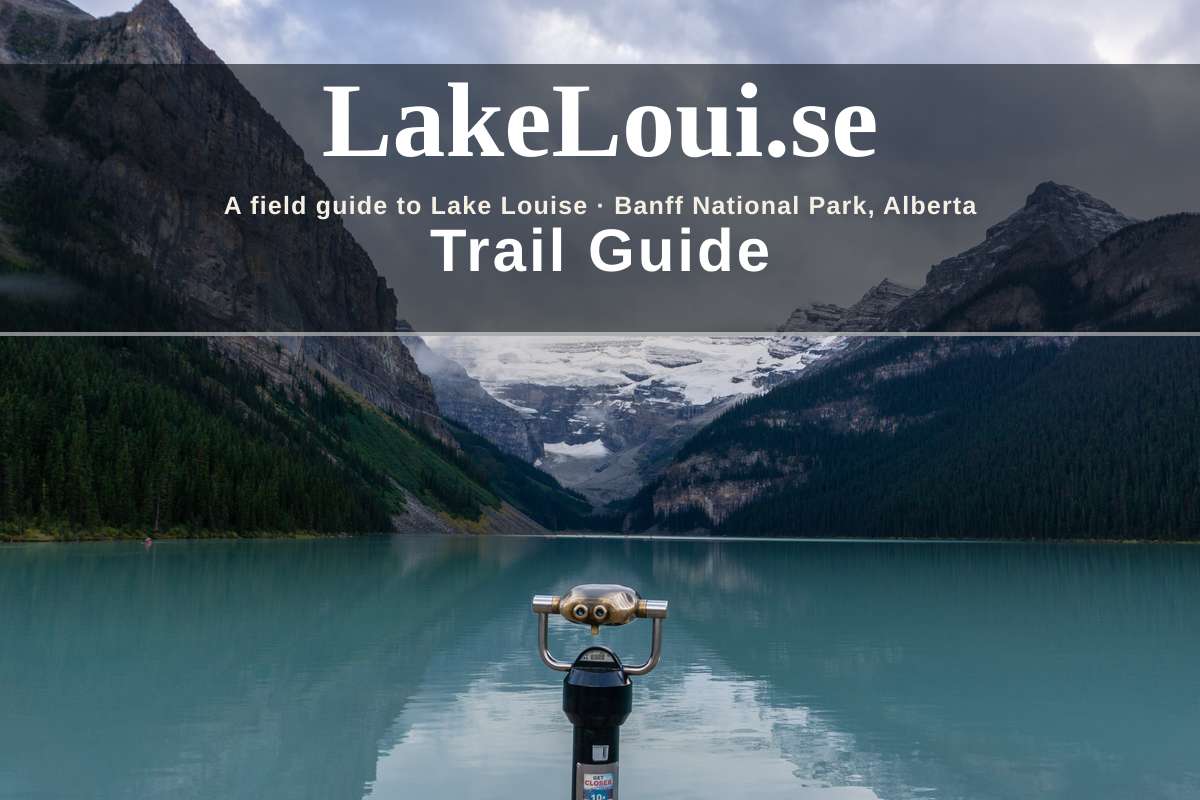 Trail Guide cover